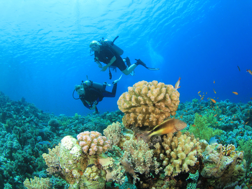 Belize Hol Chan Marine Park  Trip