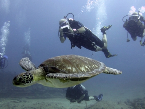 St Maarten beginner diving Cost
