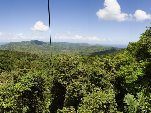 St. Lucia (Castries) aerial tram Tour Reservations