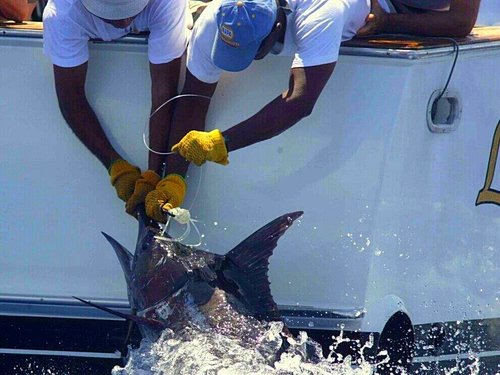 St. Lucia Dorado Cruise Excursion Prices
