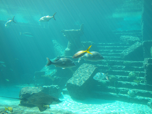 Nassau Bahamas private boat Shore Excursion Cost