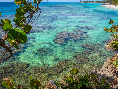 Roatan East End Trip Cost