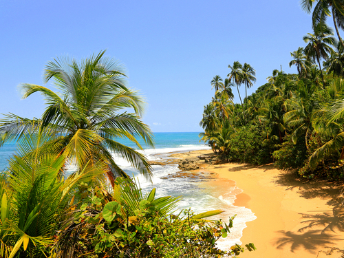 Puerto Limon Costa Rica mangrove channels Tour Cost