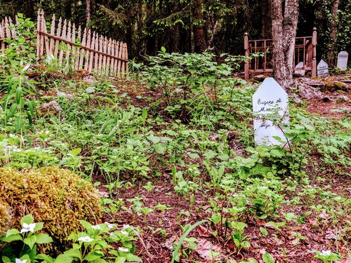Skagway Summit Cruise Excursion Booking