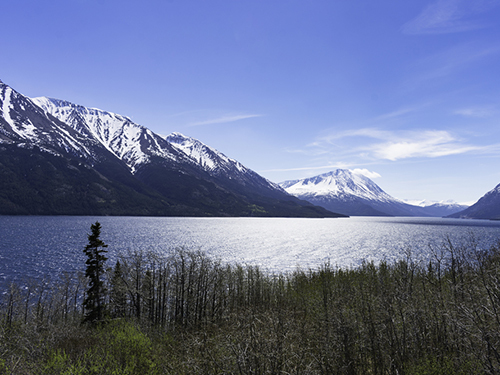 Skagway Alaska / USA Dyea Town Sightseeing Tour Reviews