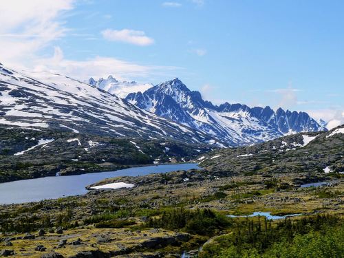 Skagway White Pass sightseeing Trip Booking