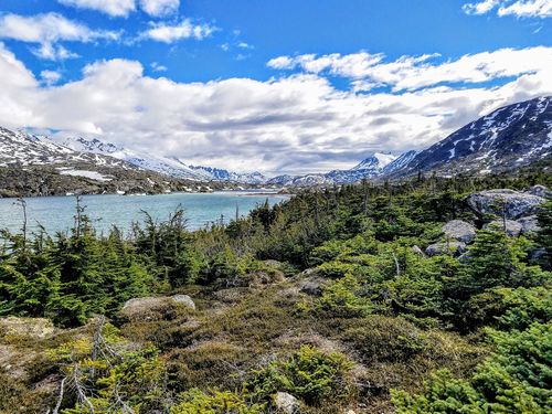 Skagway Suspension Bridge Sightseeing Excursion Reviews