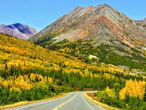 Skagway Alaska Wildlife Cruise Excursion Tickets