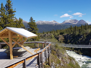 Skagway Combo White Pass Summit, Yukon Suspension Bridge and Dyea Nature Excursion