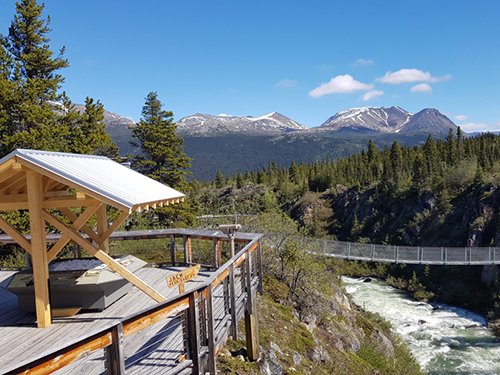Skagway Suspension Bridge Sightseeing Tour Cost