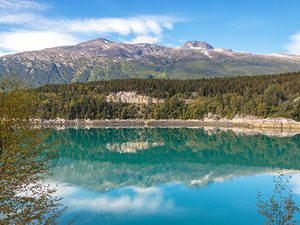 Skagway to Undiscovered Dyea Wildlife Viewing