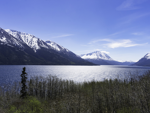 Skagway  Alaska / USA White Pass Summit Excursion Reviews