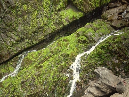 Ensenada Geyser Tour Cost