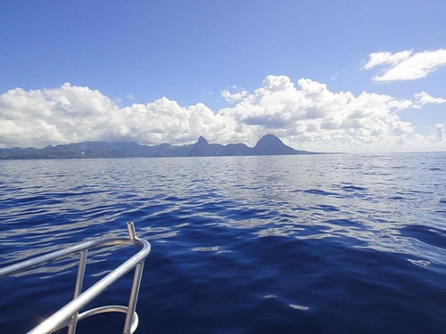 Castries Yellow Fin Tuna Excursion Reservations
