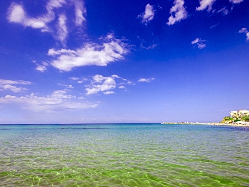 Coxen Hole beach parasailing Trip Booking