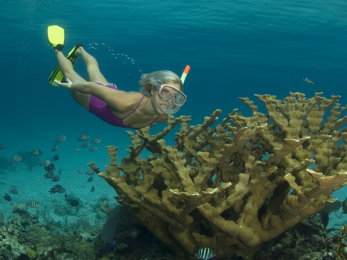Nassau Bahamas snuba diving Shore Excursion Reservations