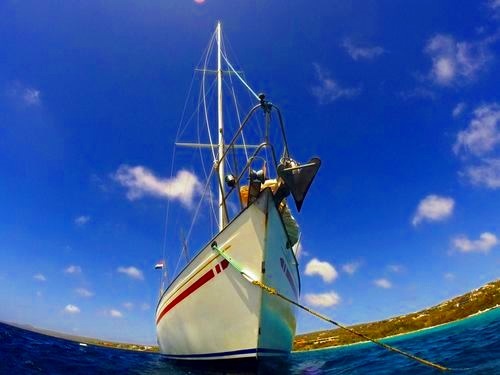 Bonaire (Kralendijk) Netherlands Antilles coastal cruise Excursion Booking