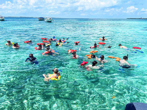 Belize City shark alley snorkel Cruise Excursion Reservations