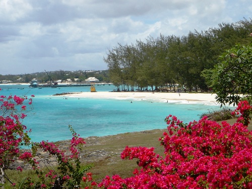Barbados  West Indies (Bridgetown) around the island tour Reservations