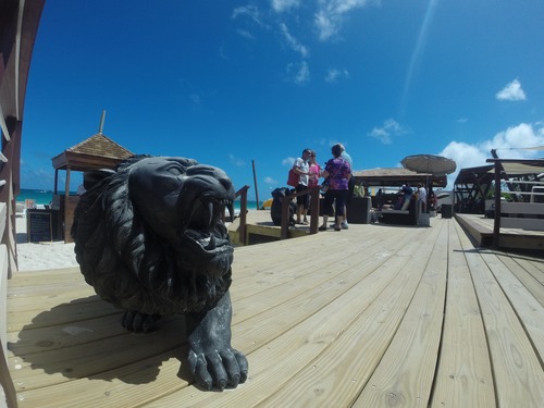 Sint Maarten  Netherlands Antilles open air bus Tour Prices