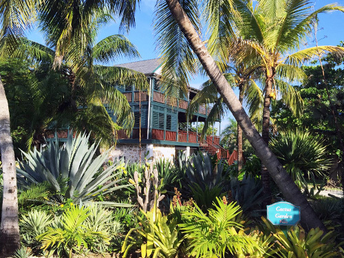 Grand Cayman sightseeing Excursion Reviews