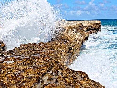 St. John's Antigua Stingray Snorkel and Sightseeing Excursion