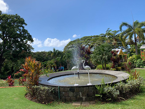St. Kitts National Park Sightseeing Tour Reviews
