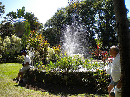 St. Kitts Romney Manor Sightseeing Tour Reviews