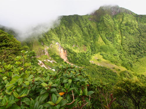 St. Kitts  Basseterre Brimstone Hill Fortress UTV Tour Reviews