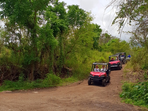 St. Kitts  Basseterre Brimstone Hill Fortress UTV Shore Excursion Reservations