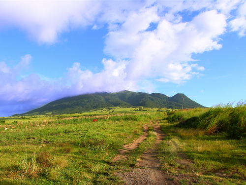 St. Kitts Old Sugar Estate UTV Shore Excursion Reservations