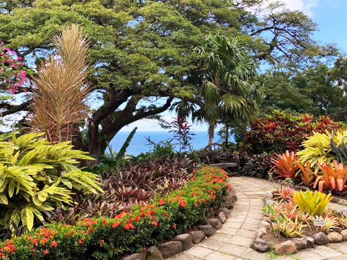 St. Kitts Sandy Beach Sightseeing Shore Excursion Reviews