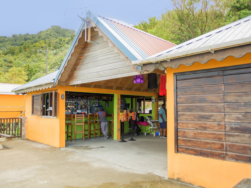 St. Lucia (Castries)  West Indies piton views Cruise Excursion Reviews