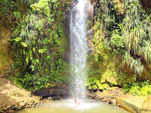 St. Lucia (Castries)  West Indies mud bath Shore Excursion Reviews