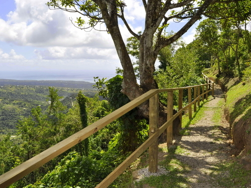 St. Lucia (Castries)  West Indies castries Tour Tickets