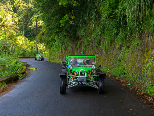 St. Lucia (Castries)  West Indies mud bath Excursion Booking