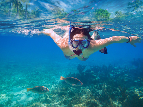 St. Lucia (Castries)  West Indies Pigeon Beach Snorkeling Excursion Prices