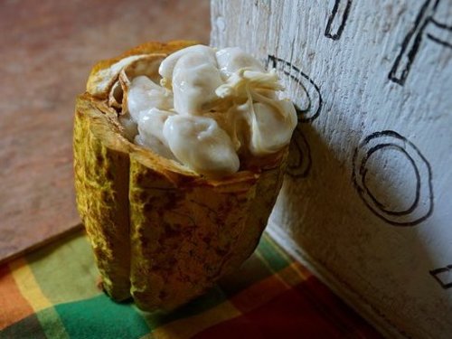 St. Lucia (Castries)  West Indies banana platation Excursion Reviews