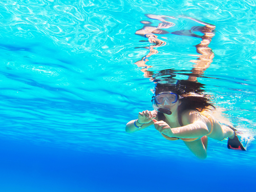 St. Lucia (Castries)  West Indies Pigeon National Park Snorkeling Excursion Booking