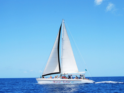 St. Lucia Catamaran Cruise and Zip Line Adventure Excursion
