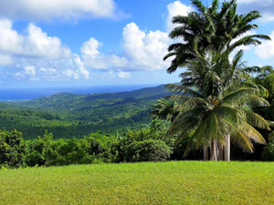 St. Lucia Highlights, Sightseeing and Shopping Excursion
