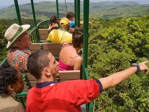 St. Lucia Rainforest Aerial Tram Excursion