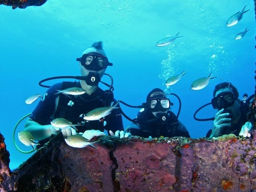 St Maarten discover scuba dive Shore Excursion