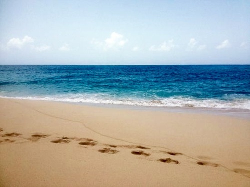 St. Maarten snorkel Shore Excursion Booking