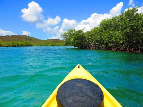 Virgin Islands kayak and snorkel Shore Excursion Reservations