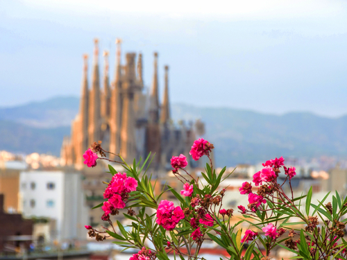 Barcelona Sagrada Familia Shore Excursion Booking