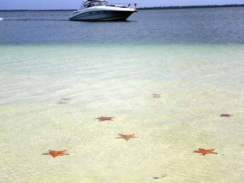 Grand Cayman Jet Ski  Shore Excursion