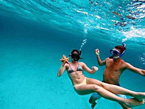 Grand Turk Gibbs Cay stingrays Shore Excursion Booking