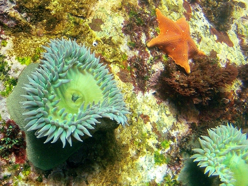 Ensenada Cruise Excursion