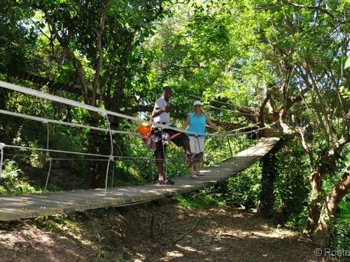 Roatan Honduras zipline and beach Tour Reservations